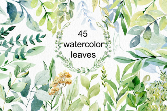 Download Watercolor Leaves Clipart. - Art Collection
