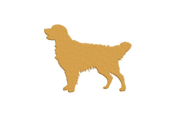 Download Elegant Golden Retriever Dog - Gold Collection