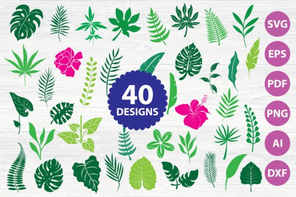 Download Monstera | Greenery | Tropical | Leaves - Green Collection