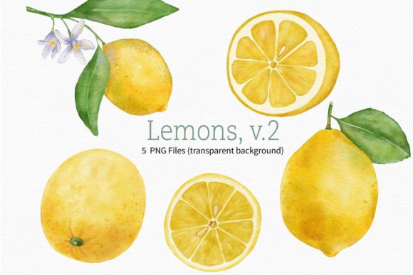 Download Lemon Watercolor Fruit Clipart Branch - Art Collection